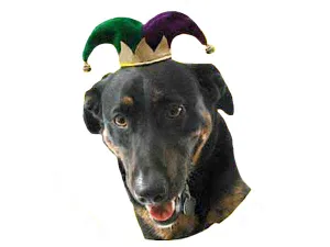 Court Jester Mini Hat by Elope Hats