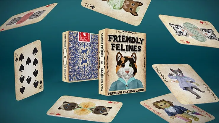 Friendly Feline
