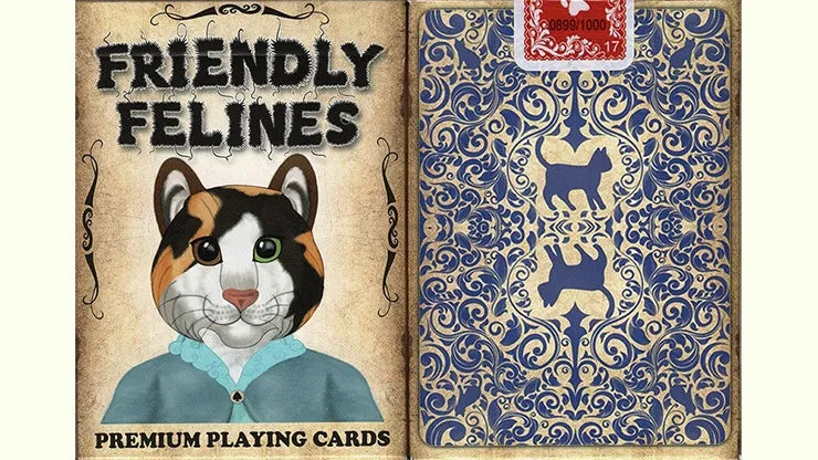 Friendly Feline