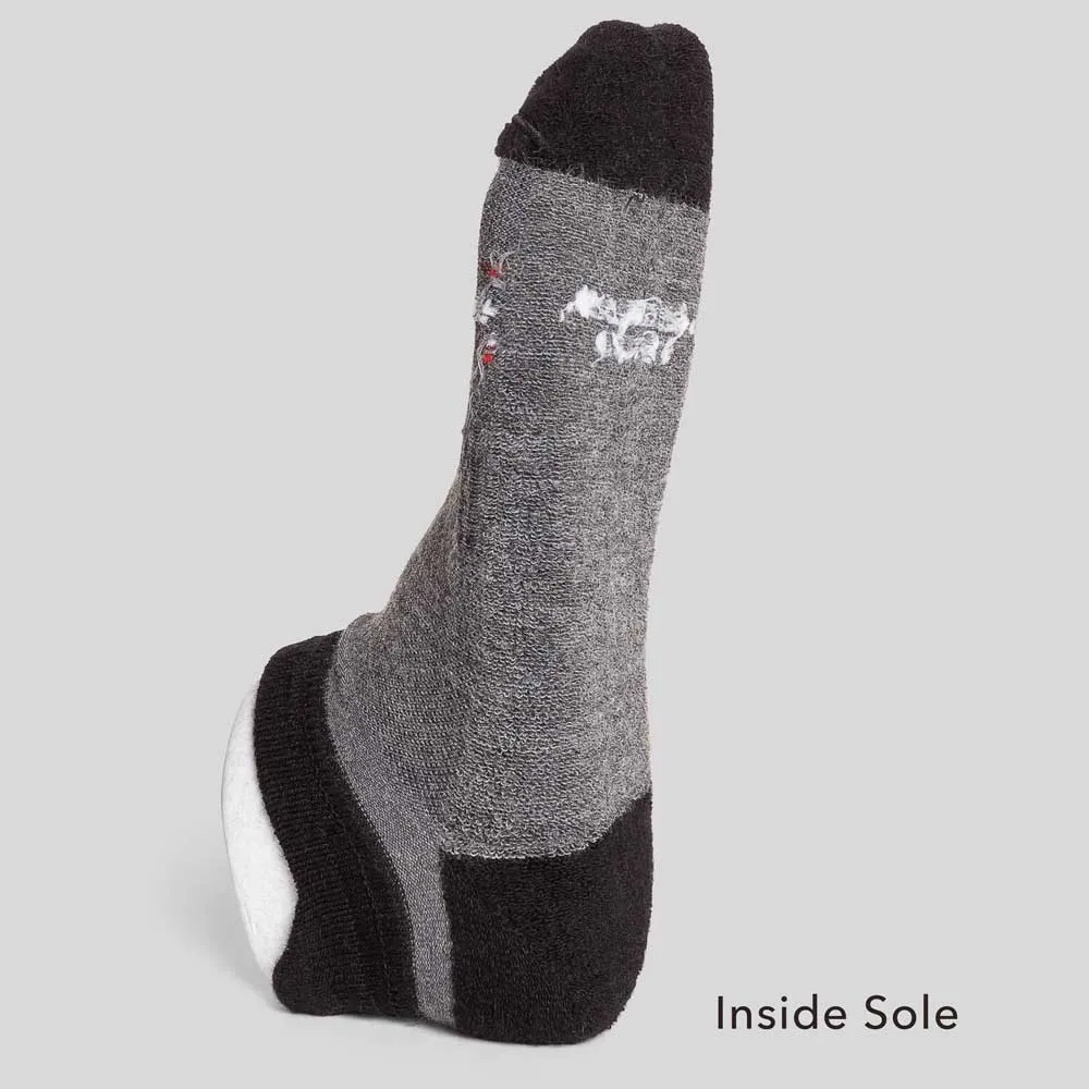 Merino Wool No Show Blister Tab | Combo 4 Pairs