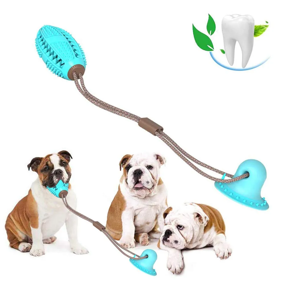 Suction Frenchie TugToy™ V2 (WS67)