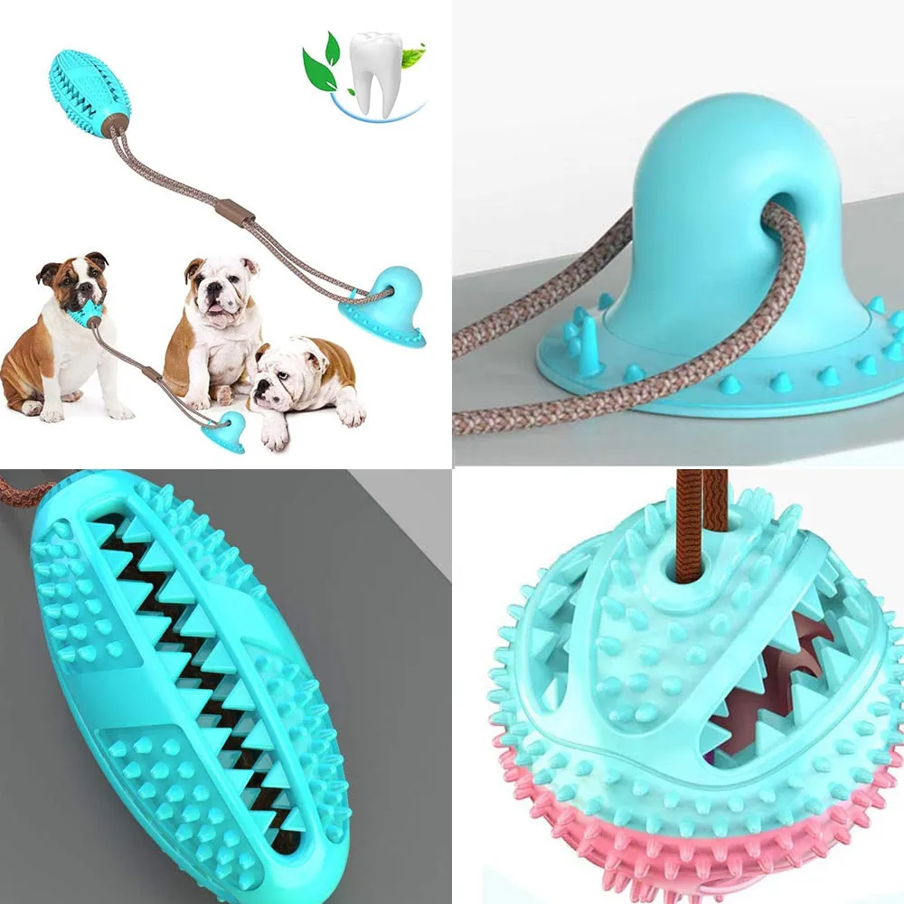 Suction Frenchie TugToy™ V2 (WS67)