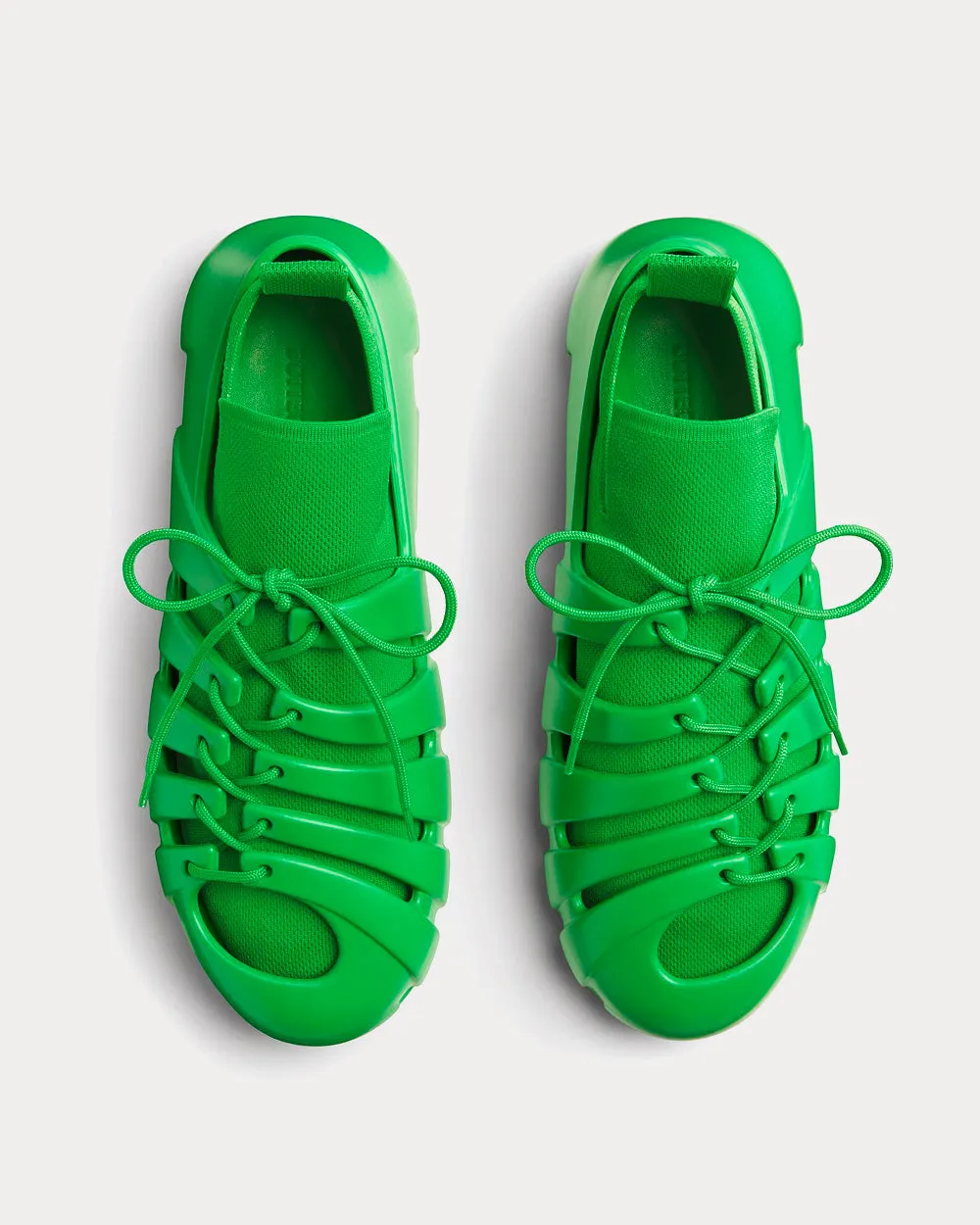 Trail Parakeet Low Top Sneakers
