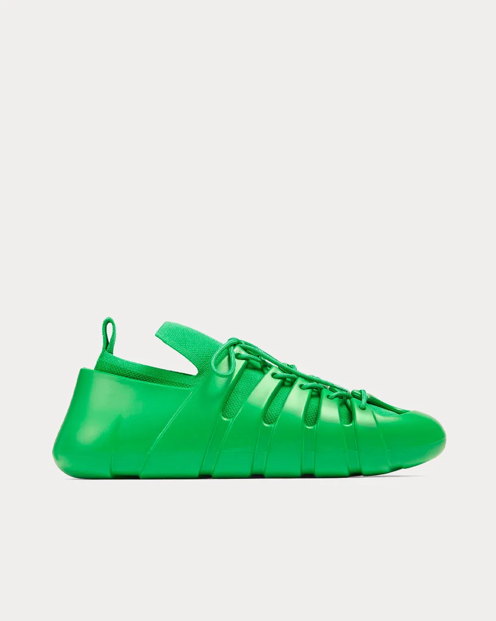 Trail Parakeet Low Top Sneakers