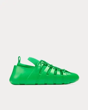 Trail Parakeet Low Top Sneakers